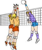 Abteilung Volleyball